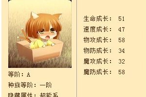 喵星人大针锋技能搭配攻略
