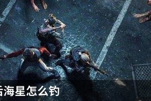 明日之后海星怎么钓