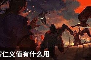 我的侠客仁义值有什么用
