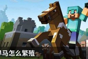 我的世界马怎么繁殖