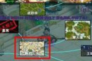 新手指南宠物挂机方法详细介绍
