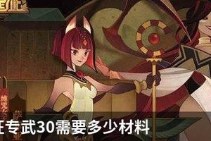 剑与远征专武30需要多少材料