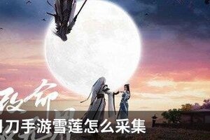 天涯明月刀手游雪莲怎么采集