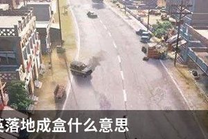 和平精英落地成盒什么意思