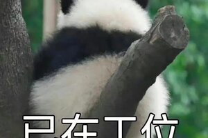 《古代战争》【新区公告】费伦-阿拉尼雅之矛（安卓IOS混服）来袭！