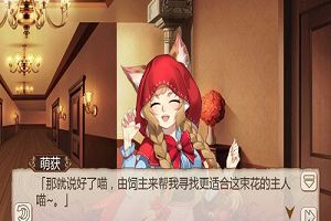 送给妈妈的礼物《姬魔恋战纪》母亲节鲜花