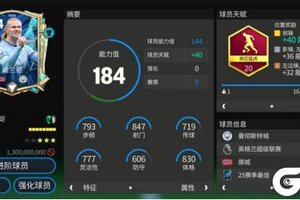 《FC足球世界》前锋哈兰德：禁区猛虎的实战风采与耐力短板