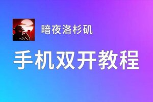 暗夜洛杉矶如何双开 2020最新双开神器来袭