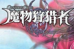 卡组排阵攻略 斗兽场心得分享