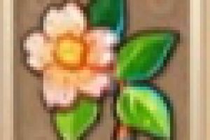 手游血色茶花图鉴