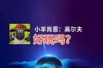 小羊肖恩：高尔夫好玩吗？小羊肖恩：高尔夫好不好玩评测
