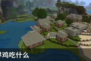 我的世界鸡吃什么