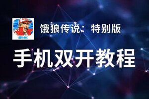 饿狼传说：特别版双开挂机软件盘点 2020最新免费饿狼传说：特别版双开挂机神器推荐