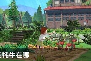 小森生活牦牛在哪