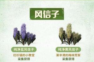 《明日之后》最新最全野外物种分布攻略