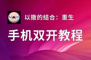 怎么双开以撒的结合：重生？ 以撒的结合：重生双开挂机图文全攻略