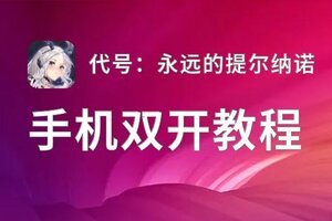 怎么双开代号：永远的提尔纳诺？ 代号：永远的提尔纳诺双开挂机图文全攻略