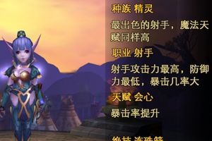 射手培养及幻兽选择攻略