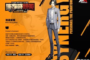 《女神异闻录：夜幕魅影》P5X档案室『池波星辉·永夜』