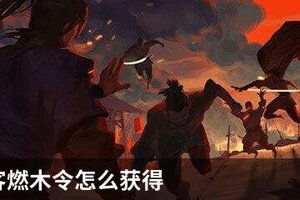 我的侠客燃木令怎么获得
