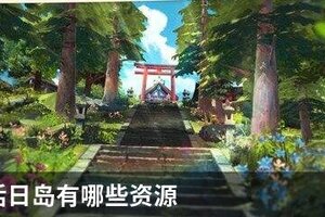 小森生活日岛有哪些资源