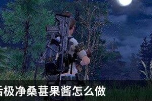 明日之后极净桑葚果酱怎么做