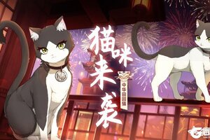 《猫之城》🏮于此夜重逢 | 猫咪预告🏮