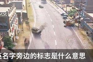 和平精英名字旁边的标志是什么意思
