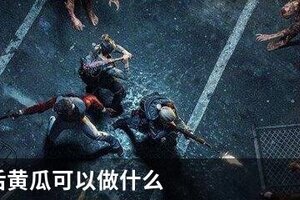 明日之后黄瓜可以做什么