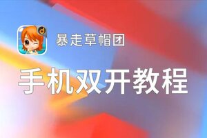 暴走草帽团双开神器 轻松一键搞定暴走草帽团挂机双开