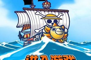 小R新手攻略分享