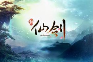 后排伙伴选择必看攻略