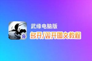 武缘怎么双开、多开？武缘双开助手工具下载安装教程