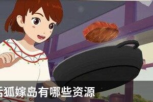 小森生活狐嫁岛有哪些资源