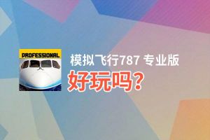 模拟飞行787 专业版好玩吗？模拟飞行787 专业版好不好玩评测