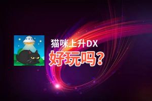 猫咪上升DX好玩吗？猫咪上升DX好不好玩评测