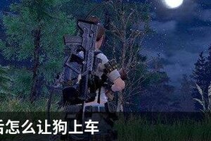 明日之后怎么让狗上车