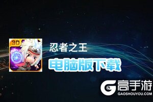 忍者之王电脑版下载 横向测评：电脑玩忍者之王模拟器推荐