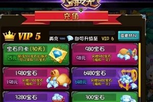 VIP系统介绍