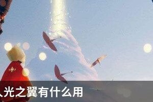 sky光遇永久光之翼有什么用