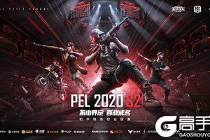 STE肆意燎原，勇闯2020PEL终局之战