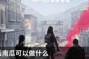 明日之后南瓜可以做什么