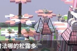 创造与魔法哪的松露多