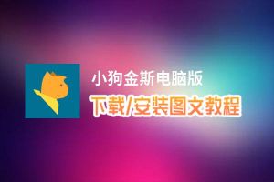 小狗金斯电脑版_电脑玩小狗金斯模拟器下载、安装攻略教程