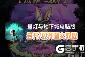 提灯与地下城怎么双开、多开？提灯与地下城双开助手工具下载安装教程