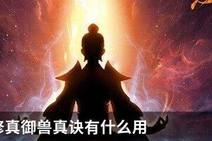 想不想修真御兽真诀有什么用