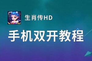 生肖传HD怎么双开  生肖传HD双开挂机软件推荐