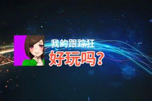 我的跟踪狂好玩吗？我的跟踪狂好不好玩评测