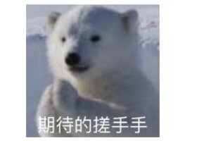 《勇士与冒险》『火灵斗师』角色介绍及核心技能展示
