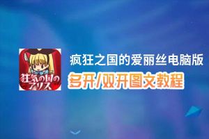 疯狂之国的爱丽丝怎么双开、多开？疯狂之国的爱丽丝双开助手工具下载安装教程